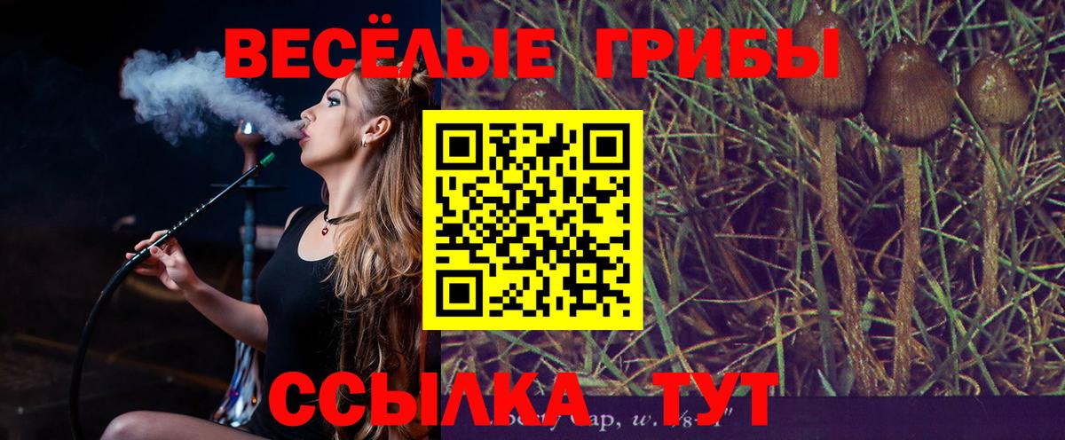 Псилоцибиновые грибы Cubensis Удомля