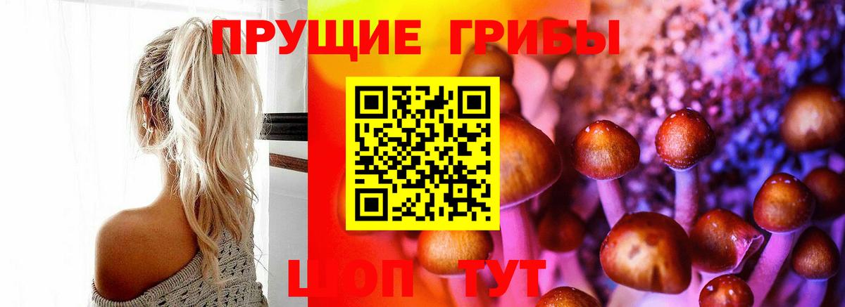Удомля  Псилоцибиновые грибы Psilocybe  Псилоцибиновые грибы GOLDEN TEACHER  Вход с VPN 